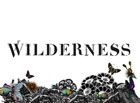 Wilderness Festival